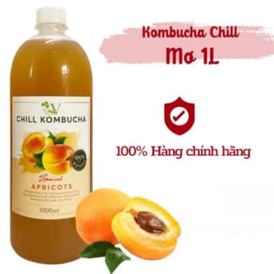 Trà lên men Chill Kumbucha Apricots Việt Nam vị mơ