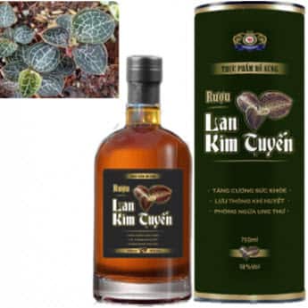 Rượu Lan Kim Tuyến Việt Nam